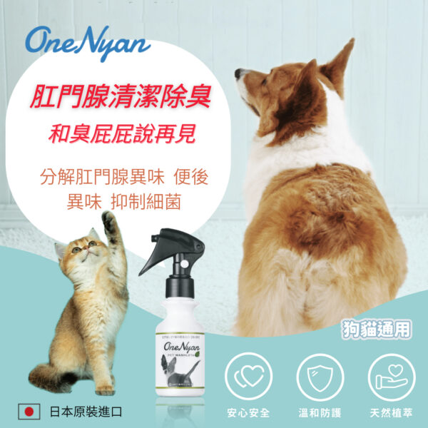 001_OneNyan-washleta-01_1st page-cat+dog_vivipic OneNyan 肛門腺除臭潔淨噴霧 ❤ 強效消除肛門腺異味、抑菌與預防★天然不刺激-犬貓通用