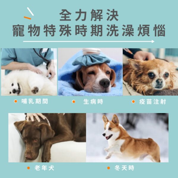 004_OneNyan-shampoo-01_寵物特殊期解決方案_vivipic OneNyan 泡沫乾洗澡(貓咪專用) ❤ 敏感肌適用 ★天然不刺激 免沖洗 舔食沒問題