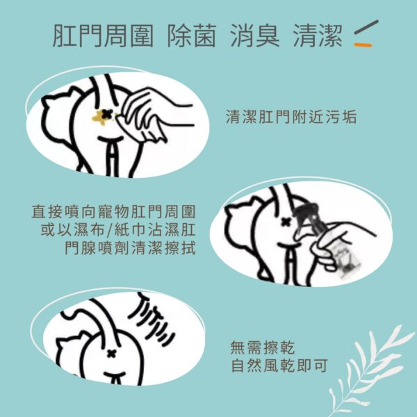 008_OneNyan-washleta-01_使用方法_vivipic OneNyan 肛門腺除臭潔淨噴霧 ❤ 強效消除肛門腺異味、抑菌與預防★天然不刺激-犬貓通用