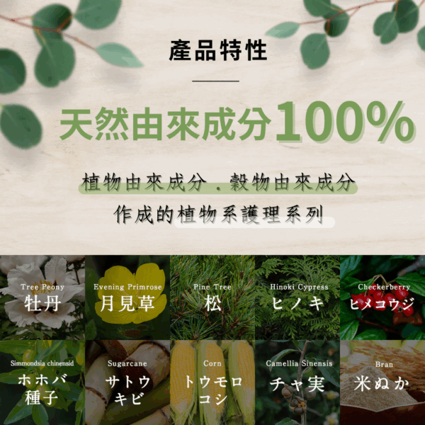 聖誕禮物組合-【犬一日】+日本OneNyan 護理系列👉扣折300元