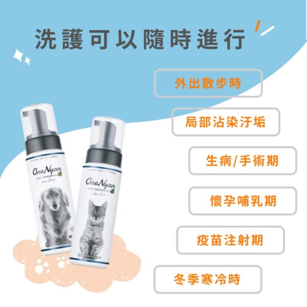 🎁拜年「超汪」禮盒優惠組合（限時）