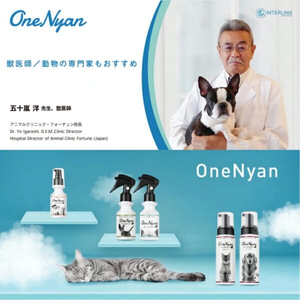 🎁拜年「超汪」禮盒優惠組合（限時）