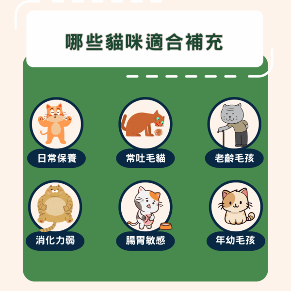 聖誕禮物組合-【喵一日】+日本OneNyan 護理系列👉扣折300元