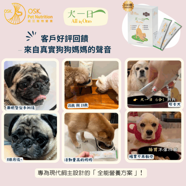 12 【犬一日】- 6合1 狗狗全方位保健營養粉/30小條(獨立包裝) ❤ 每日定量★純天然成份