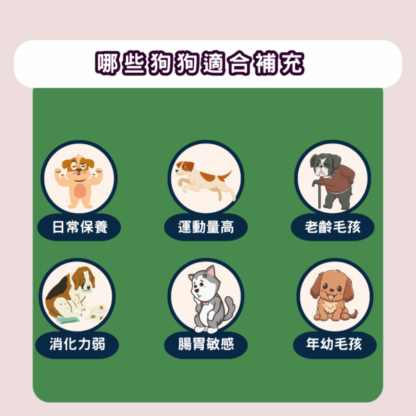 14 【犬一日】- 6合1 狗狗全方位保健營養粉/30小條(獨立包裝) ❤ 每日定量★純天然成份