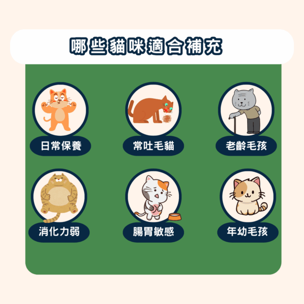 14 【喵一日】- 6合1 貓咪全方位保健營養粉/30小條(獨立包裝) ❤ 每日定量★純天然成份