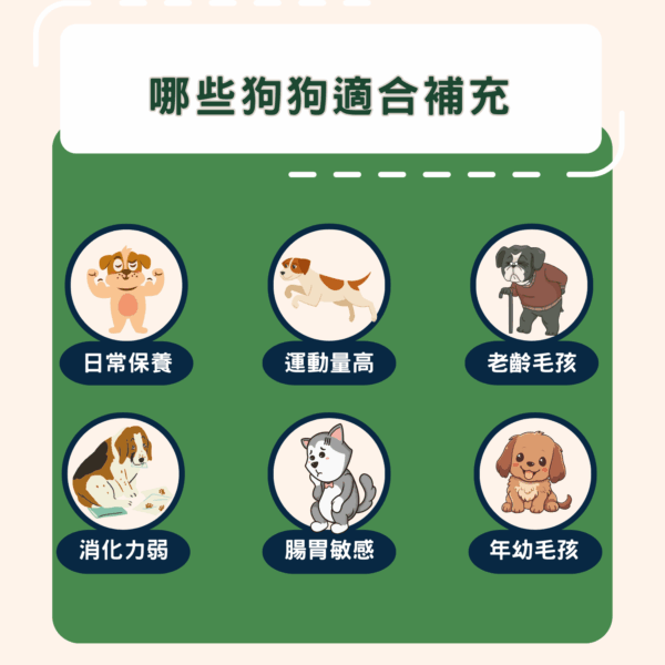 18 2盒組 ❤【犬一日】- 6合1 狗狗全方位保健營養粉/15小條(獨立包裝) ❤ 每日定量★純天然成份