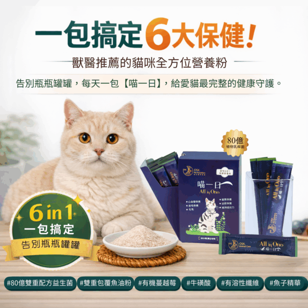 🎁拜年「超汪」禮盒優惠組合（限時）