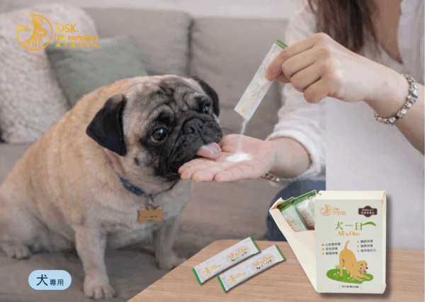 🎁拜年「超汪」禮盒優惠組合（限時）